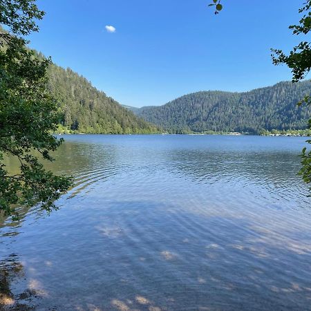 Le Chalet Blanc De Gerardmer Avec Spa Kültér fotó